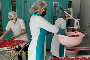 اشتغال زنان در کارگاه میوه خشک