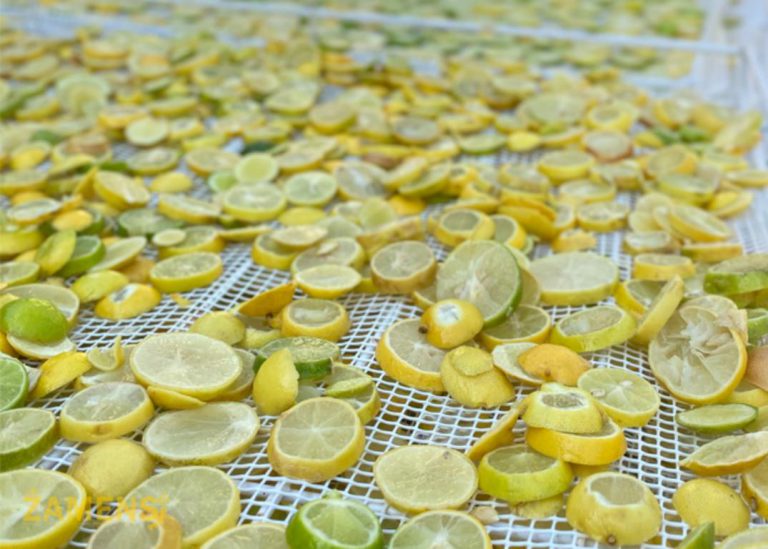 خشک کردن لیمو ترش