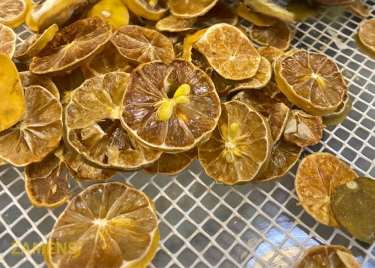 خشک کردن لیمو با دستگاه خشک کن لیمو زامنس